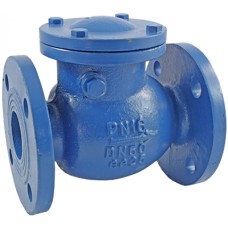 Клапан обратный чугунный Y-тип фланцевый 1,6 МПа RD30 АДЛ 50х200 мм